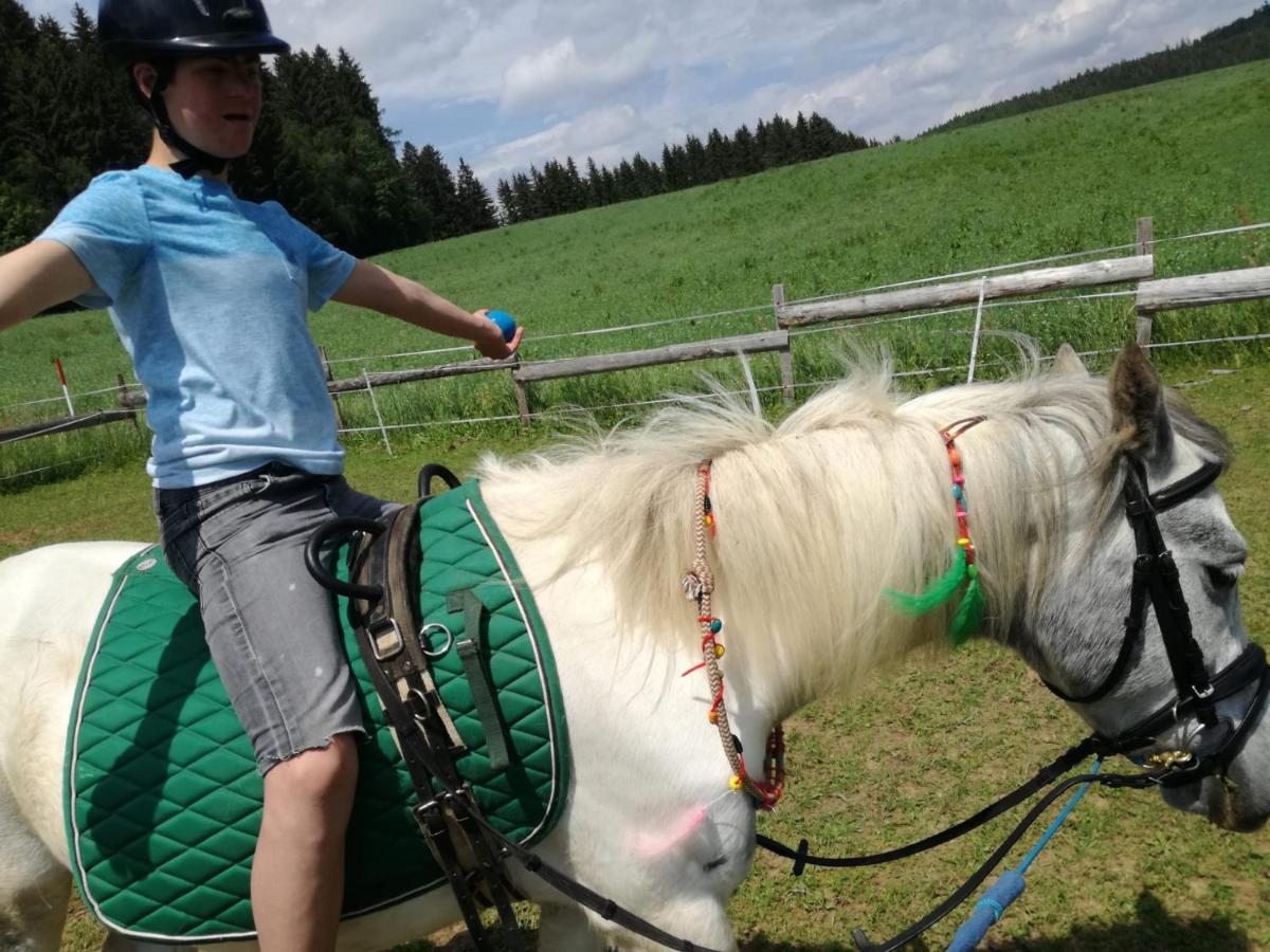 Gasthof Zum Kramer Gurk Екстериор снимка