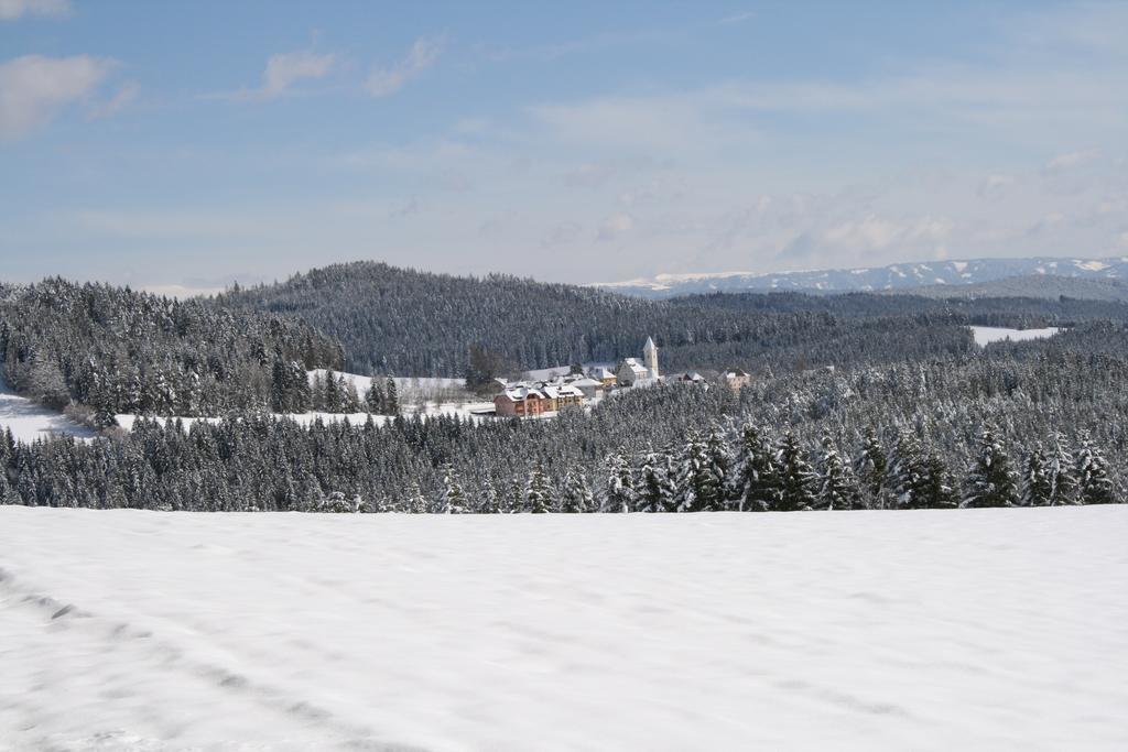 Gasthof Zum Kramer Gurk Екстериор снимка